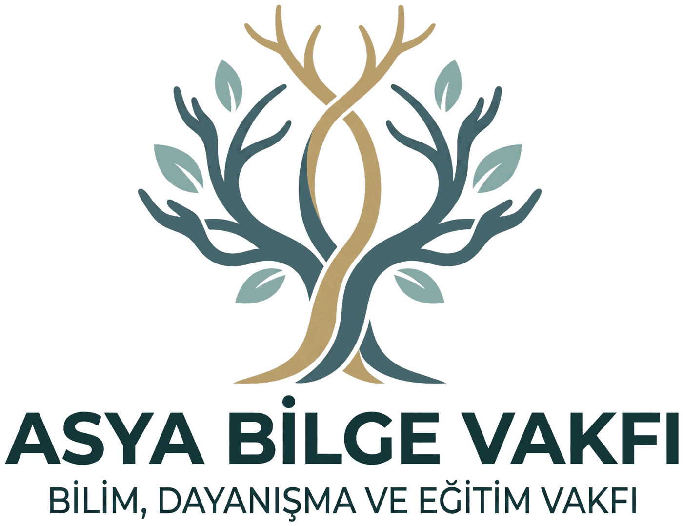 Asya Bilge Vakfı — Bilim, Dayanışma ve Eğitim Vakfı